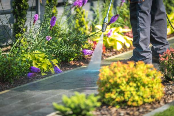 Professional Pressure Washing Services in Stamford, TX